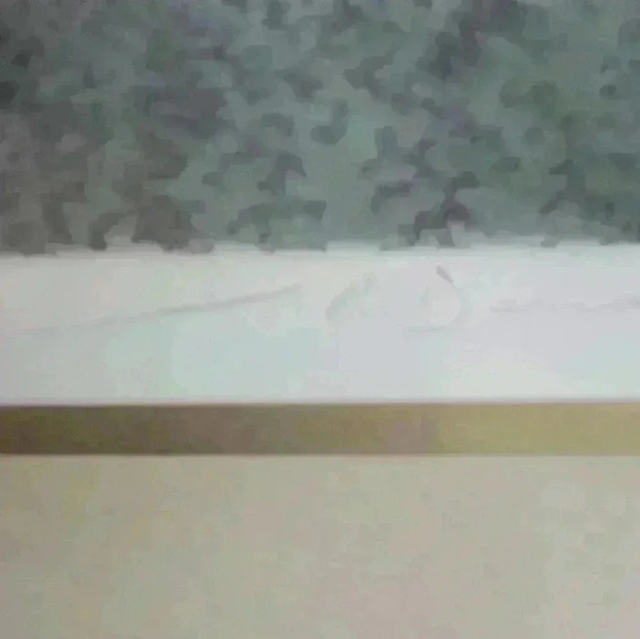 Leo P Donahue-"Unicornfish" Print 174/350 - Picture 5 of 6